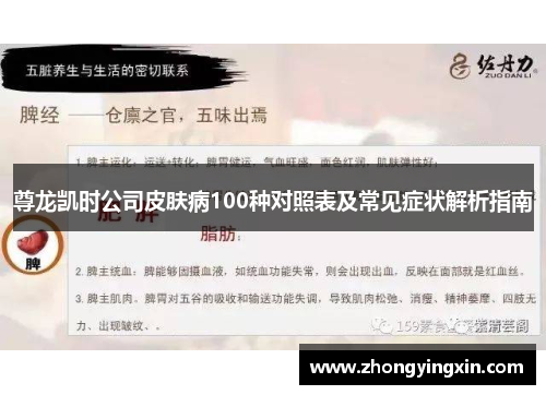 尊龙凯时公司皮肤病100种对照表及常见症状解析指南