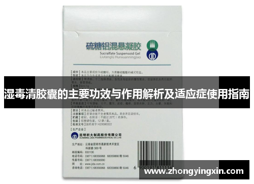 湿毒清胶囊的主要功效与作用解析及适应症使用指南