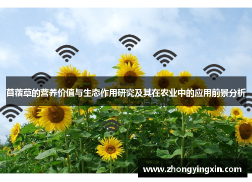 苜蓿草的营养价值与生态作用研究及其在农业中的应用前景分析